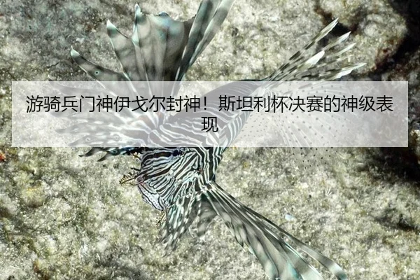 游骑兵门神伊戈尔封神！斯坦利杯决赛的神级表现 - kaiyun